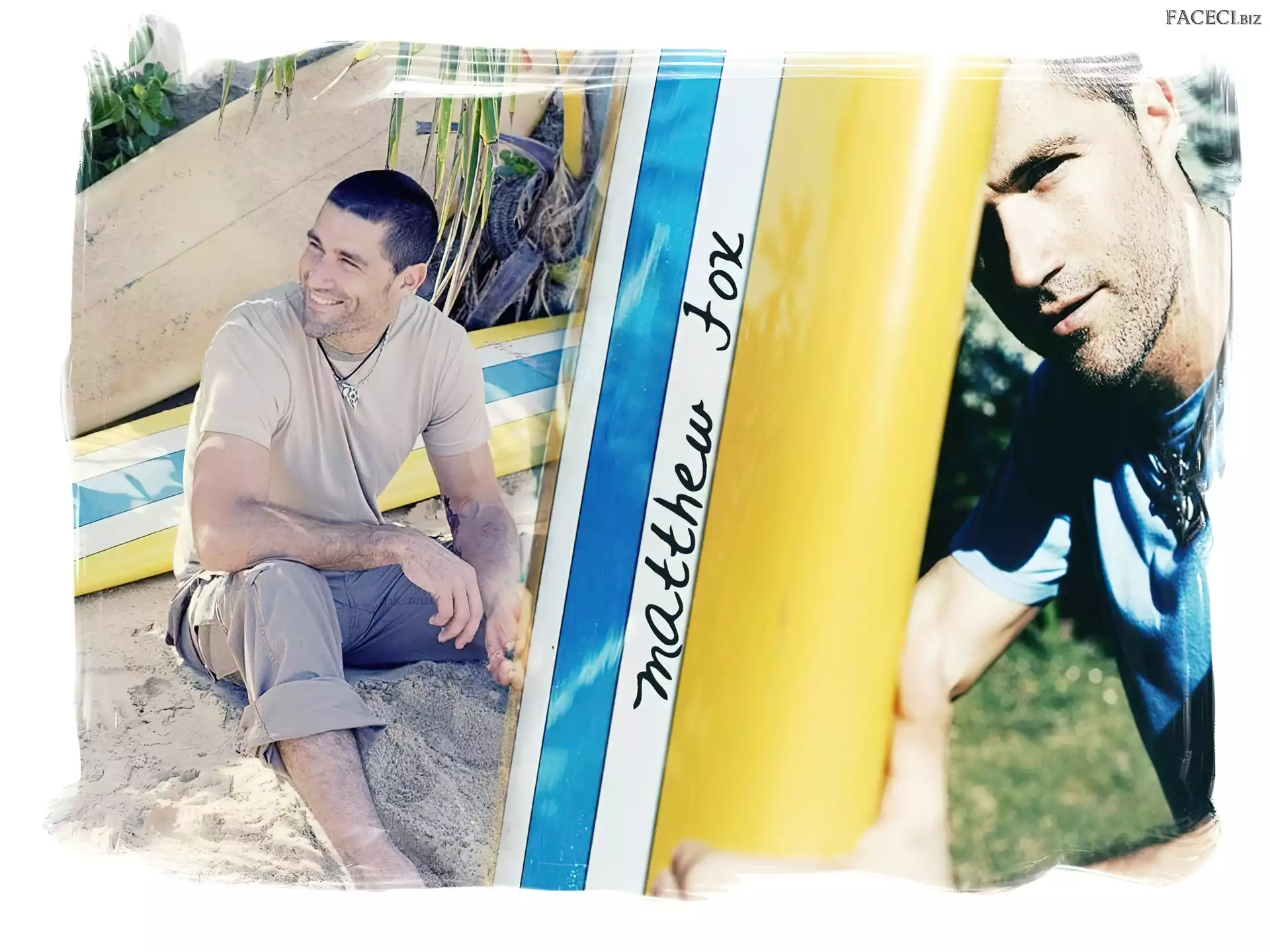 Serial, Lost, Matthew Fox, Zagubieni